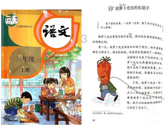 逃离金刚鹦鹉森林