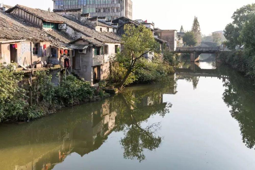 细胞分裂6